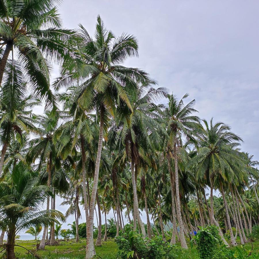 Honey Moon Beach Resort ANDAMAN AND NICOBAR ISLANDS Esterno foto